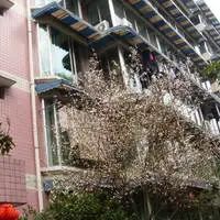 王家塘街9号3室2厅南