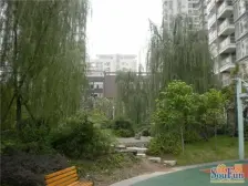 急售 重庆西二郎 环线及龙湖天街旁 精装公园两房