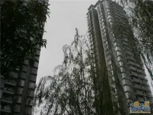 彩云湖畔 精装大两房 居家安静 业主急售 龙湖天街边