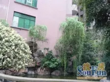 带前后两个大花园,花园面积超100平米,诚意出售