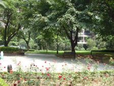 黄泥磅 天骄俊园三房170万