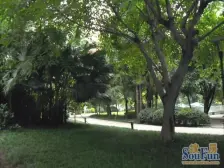 黄泥磅十佳小区顶跃带屋顶花园和露台随时看房