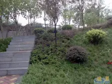 天辰美苑 4室2厅 东南