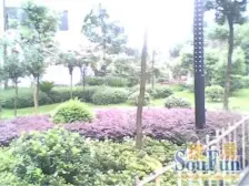 九宫庙 科而士天辰美苑二房