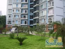 南桥寺 香逸半山三房92万