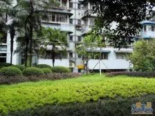 洋河片区 洋河花园三房99万