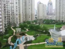 陆家嘴品质小区 双卫方正大两房 户型方正 板楼