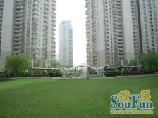 满五年,高区可看陆家嘴景观,南北通透,楼层好景观好