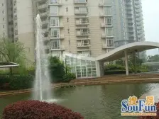 陆家嘴菊园三房,满五年,全南向,位置安静,观感好