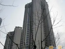 高区绝 美景观、稀 少房源、豪 华装修、拎包入住