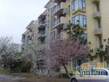 精装,拎包入住 无抵押 新上房源