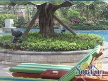 南坪 福利社 海棠晓月E区 正规一房 业主急卖