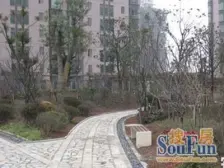 户型板正,三室朝南,业主诚意,采光不影响