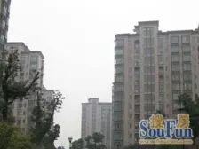 户型板正,三室朝南,业主诚意,采光不影响