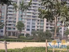 出门10米-和平公园天然氧吧-景观房体验如视一览众山小