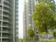 电梯复式商品房 5复6 阳光房 诚意出售