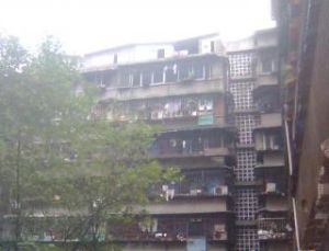 金牛综贸大厦 2室2厅 南