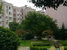电梯房 中间楼层,产权清晰 新上房源