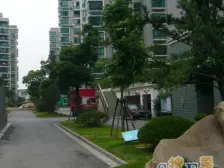 电梯房 产权清晰 毛坯,必看好房