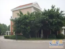 纯独栋带装修,花园400-500平 看房方便