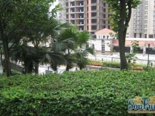 东方港湾 2室1厅 东南