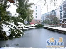 电梯房 业主诚意出售 采光无遮挡 满五年 19号线