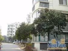 一楼带花园+三居双卫飞机户型+前临小区花园安静采光好