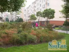 内环内,海桐书报 南北通两房