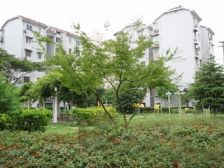 杨东·东城新村·2室·1厅