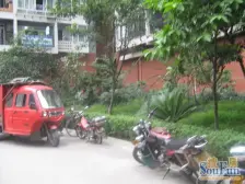 地博春天 精装两房 采光通风好 交通便利 诚心卖