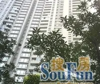 花园小区,人车分流,中区大平层,视野采光好,看花园