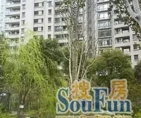 高档小区,人车分流,中高区大平层,视野采光好
