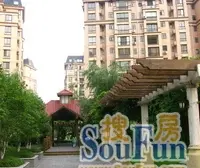 一楼带大花两 房两厅两卫 宝藏房源,畅想多元生活