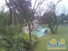 人和 金科天籁城美社四房