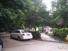 南桥寺 小天鹅花园一房36万