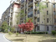 万达商圈,通透三居,边户,业主诚心出售