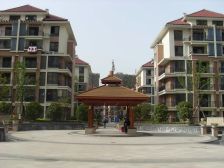 琥珀名城茗园 3室2厅 南