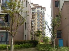 琥珀名城和园 3室2厅 南