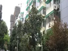 此房满五年税费少有阁楼视野开阔采光好户型正