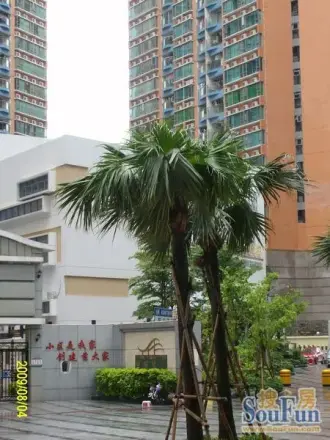 港田华园