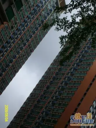 港田华园