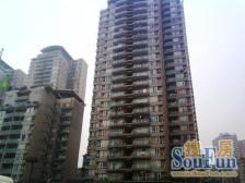 杨家坪 广厦经典一房75万