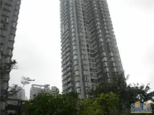 杨家坪 广厦经典三房155万