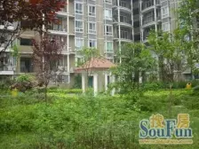 回兴 易博华源三房66万