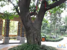 融汇新时代 1室0厅 东南