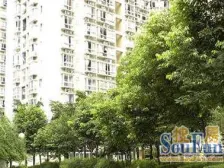 三峡广场 融汇新时代一房