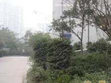 :此房南北向,户型方正,无浪费,业主诚心急售