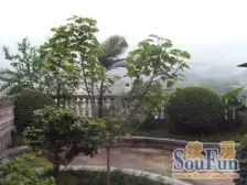 茶园新区 长青湖七房360万