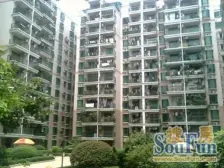 三峡广场 紫荆花园三房120万