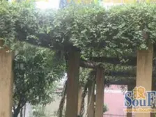 三峡广场 紫荆花园二房110万